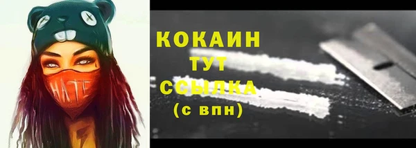 соль ск Горно-Алтайск