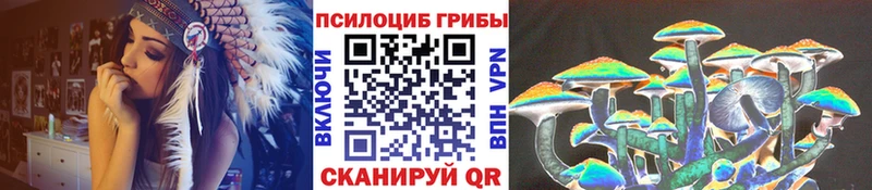 цена Красный Кут Галлюциногенные грибы мицелий